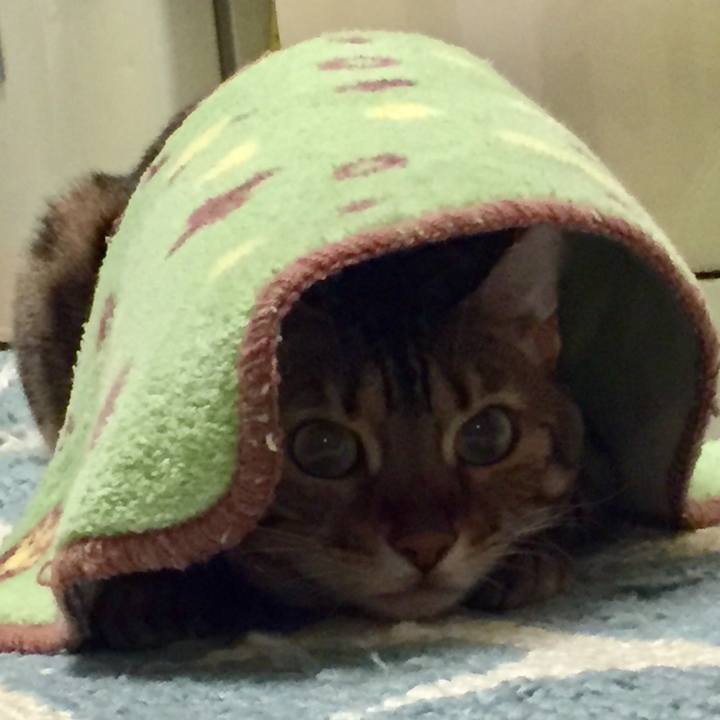 5702e2dc f9c5 4a01 aec2 67e1616829c3 1537139321535