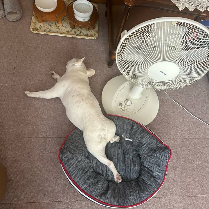 5702e785 37f2 4ea4 95f6 ce399830ff9c 1726270085531