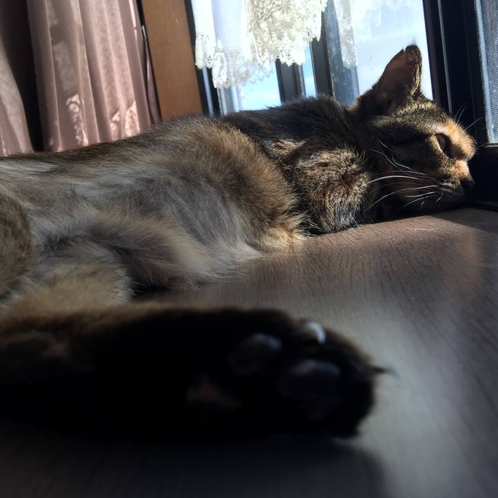 5702feff 9624 4a55 87af a0828fa2c543 1542520325595