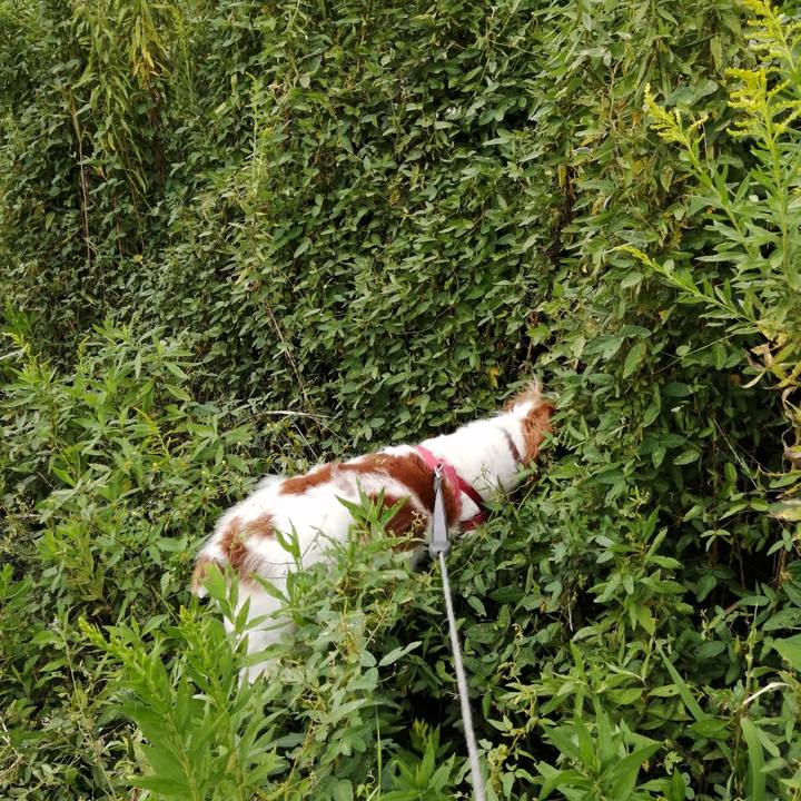 57030a2a 23da 4a78 86bb 2e500750f72f 1569670262724