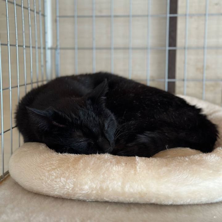 57031210 ee8d 4a1a 8991 e1d63d75d2ca 1680486981611