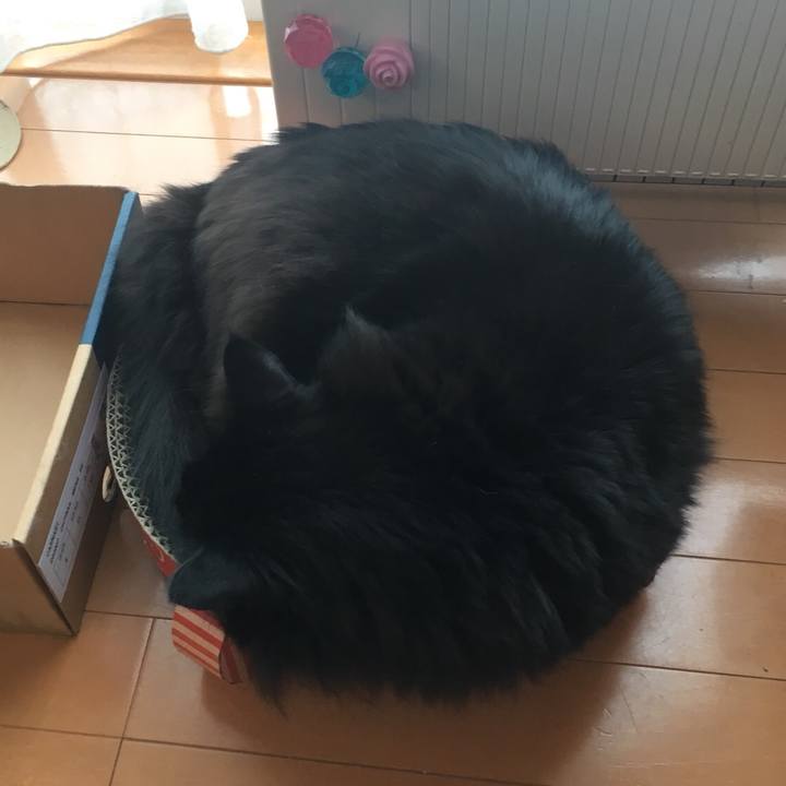 57032d8c 2ebd 4969 96f1 9e593fc25c94 1552532846329