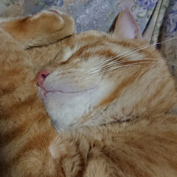 57035575 5d36 430f a4e7 efc04e277d4f 1654867540125