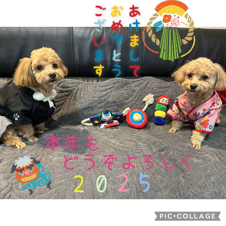 57035b72 4b94 4276 8712 75e9e8e70f0c 1735907249080