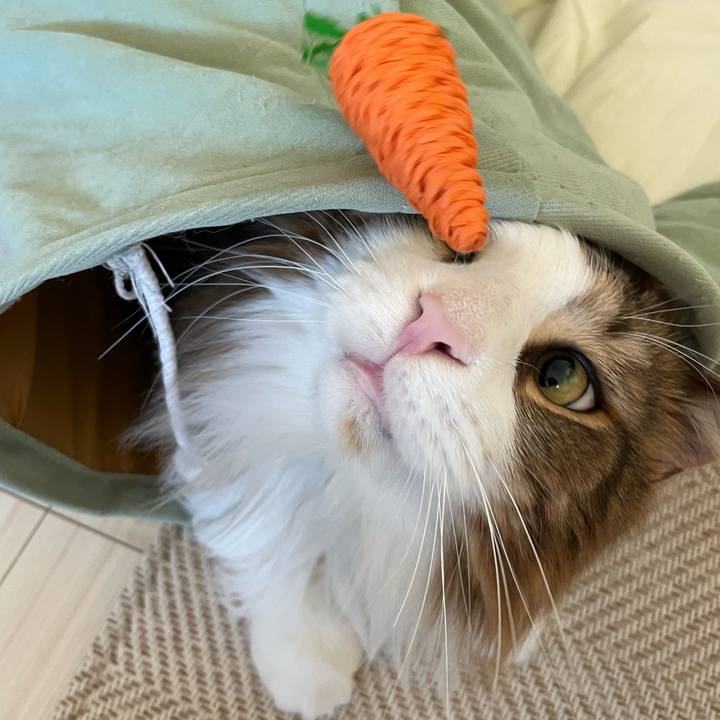 5703723d e806 4c25 acdc b938464a8a12 1679263477597