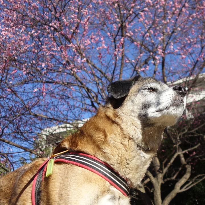 57037a47 9f09 4408 bfdc 897e3c86aeea 1548984602549