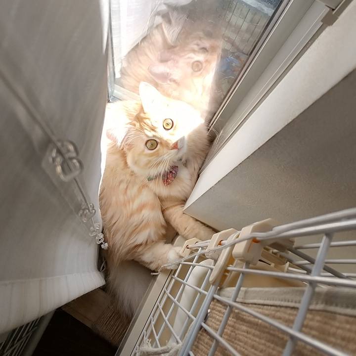 57039493 5a0a 4881 b662 1be5dd6a38b2 1636779115227