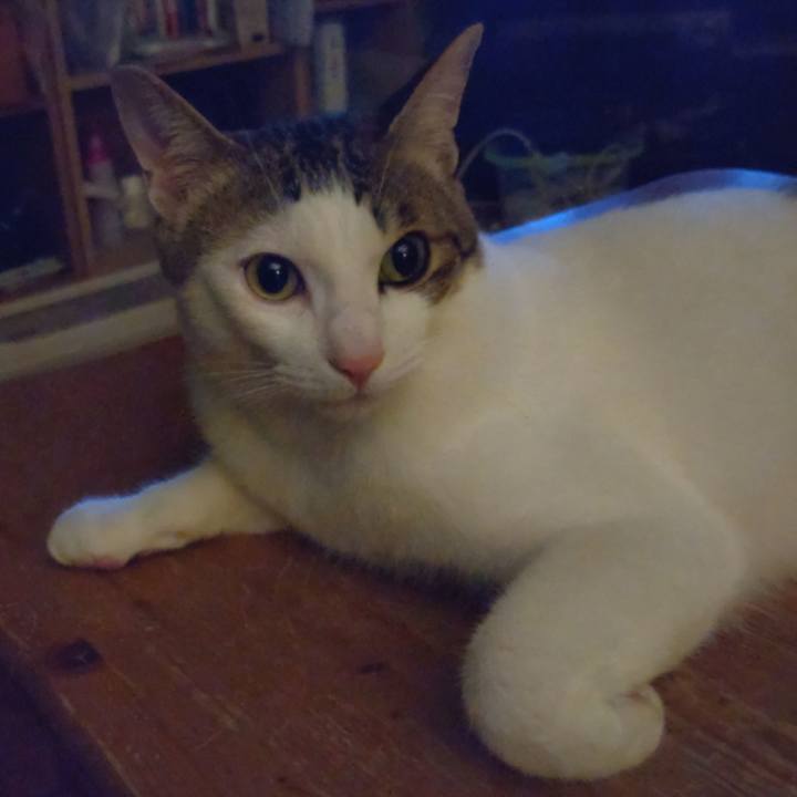 5703a1d4 57e9 4bfc 8b15 a7fa170529c5 1682774136203