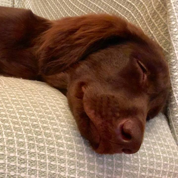 5703b776 9fa1 40cb b11b 56ff6231a5d0 1560241710975