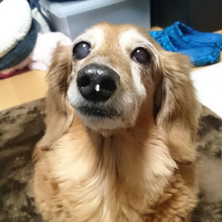 5703dd45 5ba1 4f99 a92e 2d9a06b02948 1573319265238