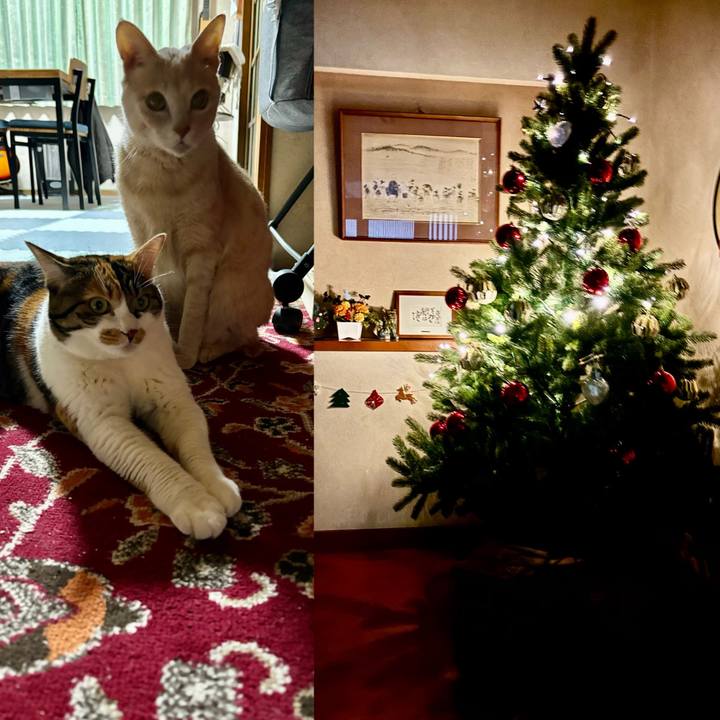 5703ea7c 31f6 420c ae9e e0738dbd80fd 1703335654581