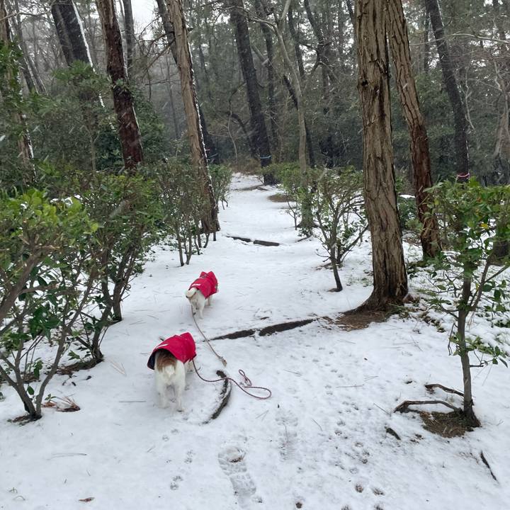 5703ff1b 10a6 458f 8538 e2a878f8da83 1671407559085