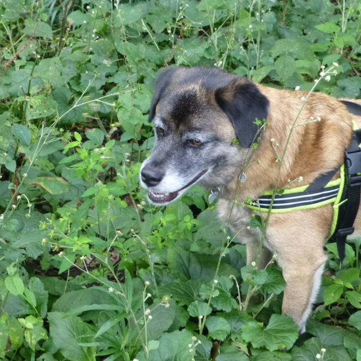 57041772 2918 4cef b4a8 d061e9721fe3 1580519439998