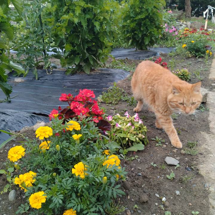 570425ee dd24 413d b7eb 586072a82457 1689289456746