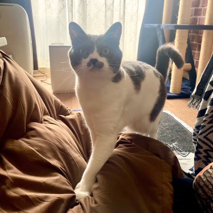 5704485c 6a7d 4762 9a81 93a39a8ce780 1672537972454