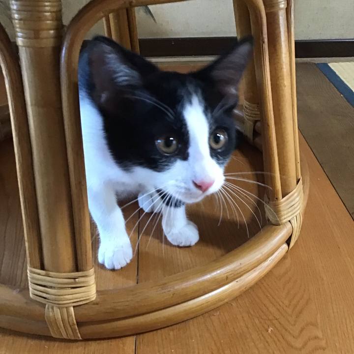 57048493 1c44 4092 8916 3924bc5f4a54 1628070937449