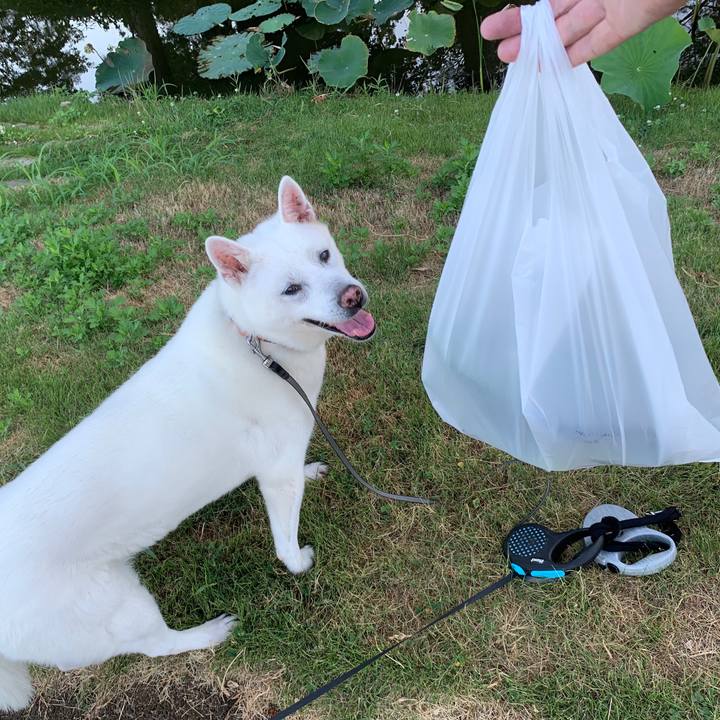 5704891a dd80 4030 bfc1 e0dbe4bea4ca 1565644213008