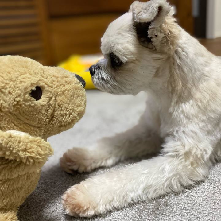 5704a468 f156 4b6d 836f 4f9496c742d6 1635938996578