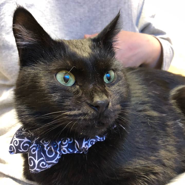 5704b559 3035 4d4d a490 b50396daa3db 1576276244848