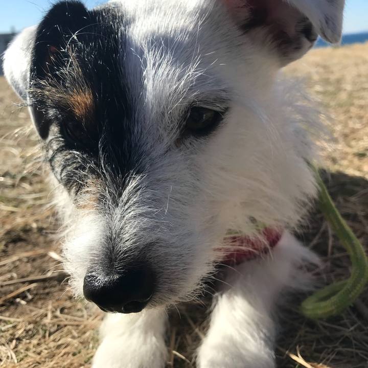 5704c75c a6c4 4d75 a35d a43563763144 1517967203520