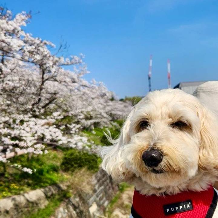 57053abf 2340 4eb5 a79f c167e84a7e45 1775279260097