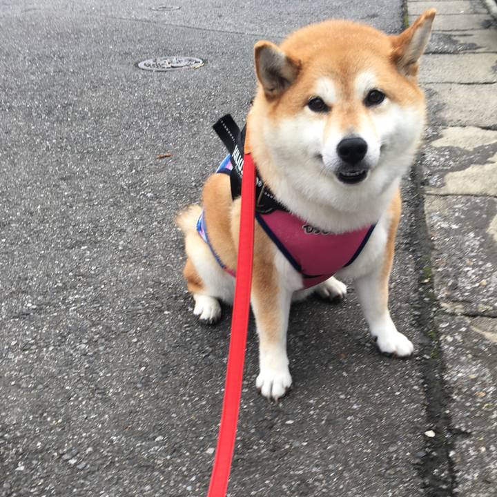 57058b40 9de8 45ce 8bb2 d8016bcdf326 1593590906856