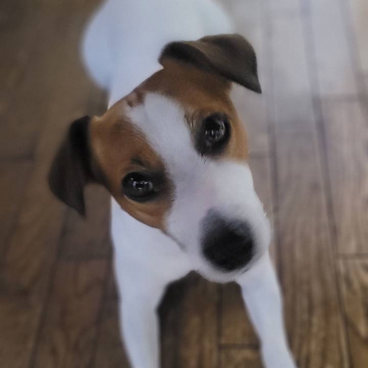 5705963c 4c7a 4c77 bf36 a1b179658d30 1664839861585