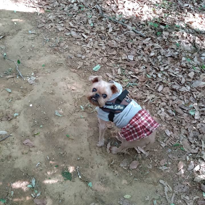 5705a0be 31bc 40af aa67 bcf9c5d9b382 1619473874724