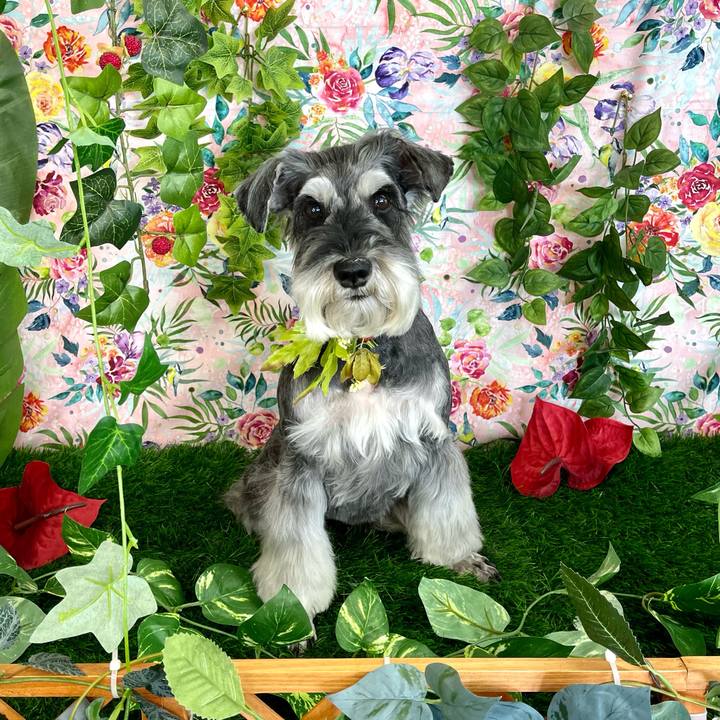 5705d078 3831 4449 aadb a6b9b6dfbcc0 1682233910435