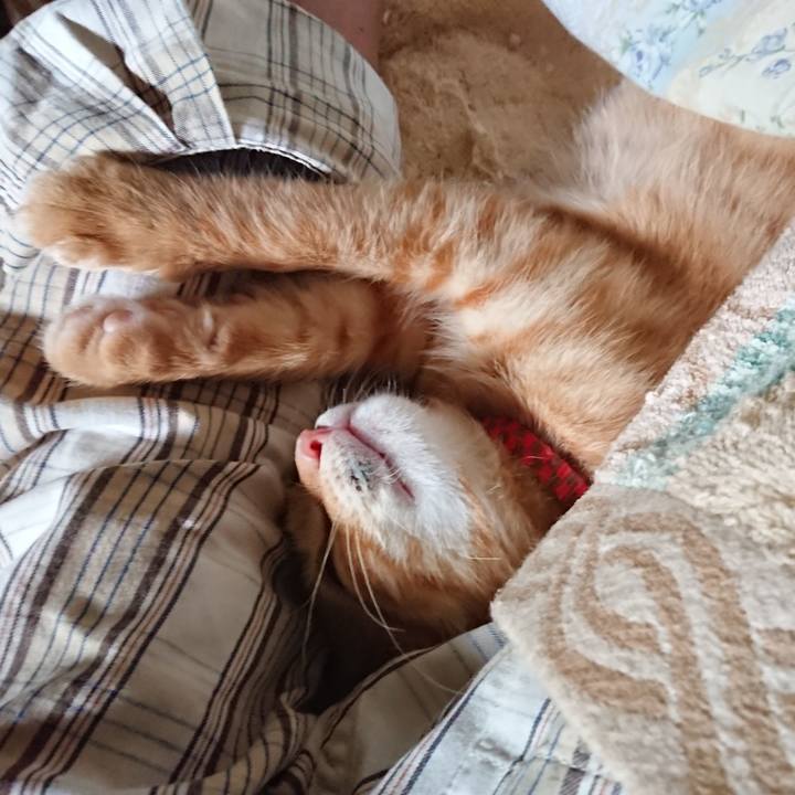 5705f6c0 ba76 4cbd a289 7d089e4358cd 1632373711615