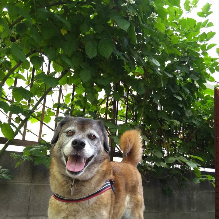 57064daa b5ce 4b78 a529 d10c9668785e 1558916335441