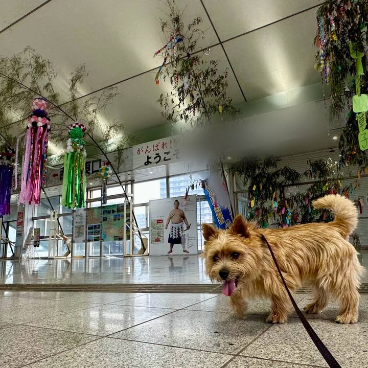 57067026 22f4 42f8 9c1f 320047f9083a 1751847791063