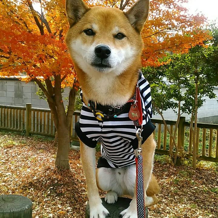 5706837d 722f 4101 b1e4 8c9f4556a6c7 1574596071007