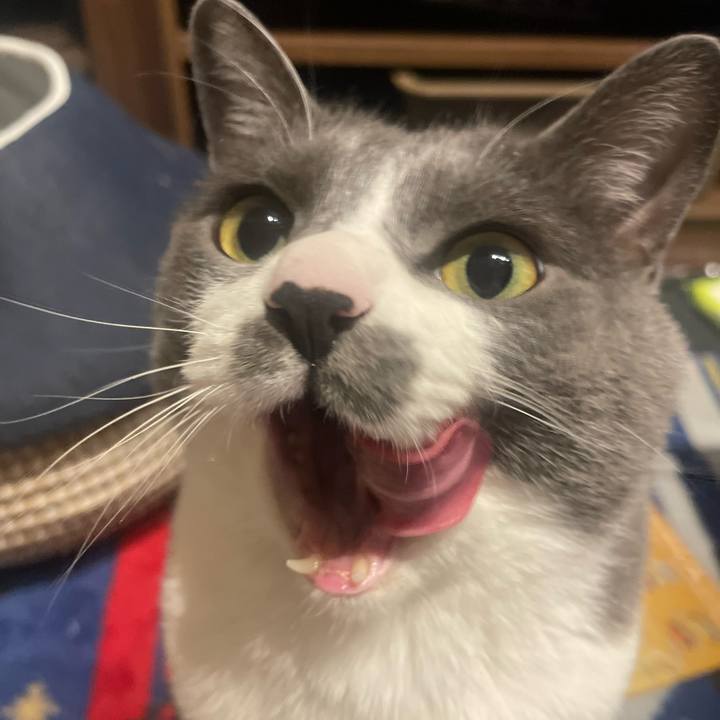 570683d6 b187 4199 acba 9aced76a2034 1680179525597