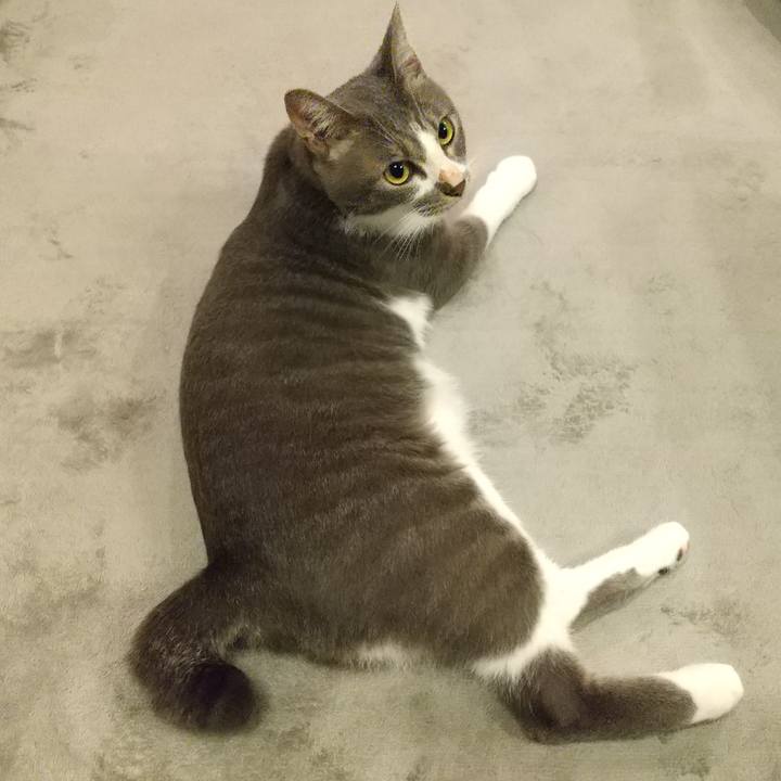 57069079 fee2 4082 a59a 97e0e9b022ab 1595935702541