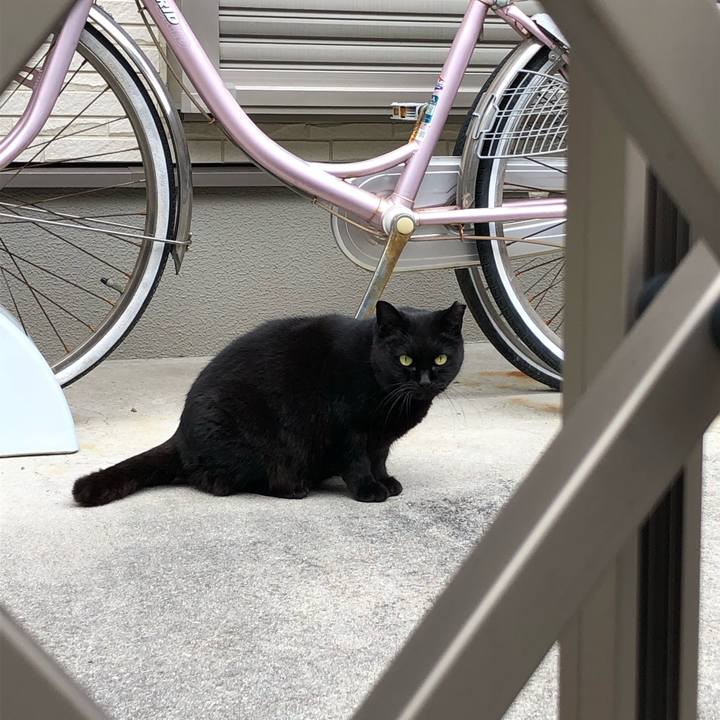 57069651 3c82 47d0 9158 c43272324ed8 1609360888438