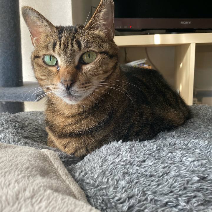 570699fe 5773 4986 b806 18d34e886001 1670732710853