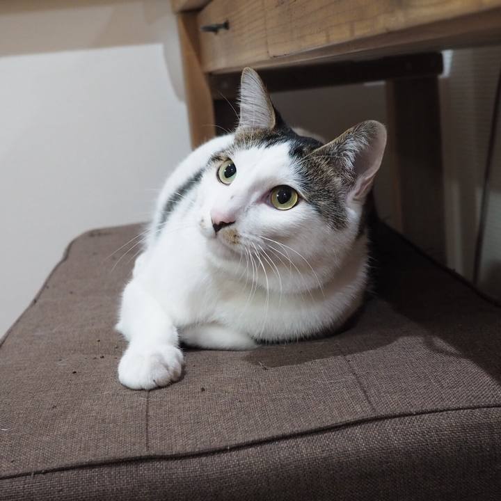 5706b6fb 4e85 4c4e bc0c 97a9aeedb17b 1540944193758