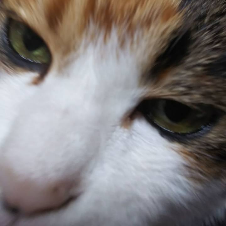 5706be6d 4ecb 47f9 8303 6dd65915f839 1563665584336