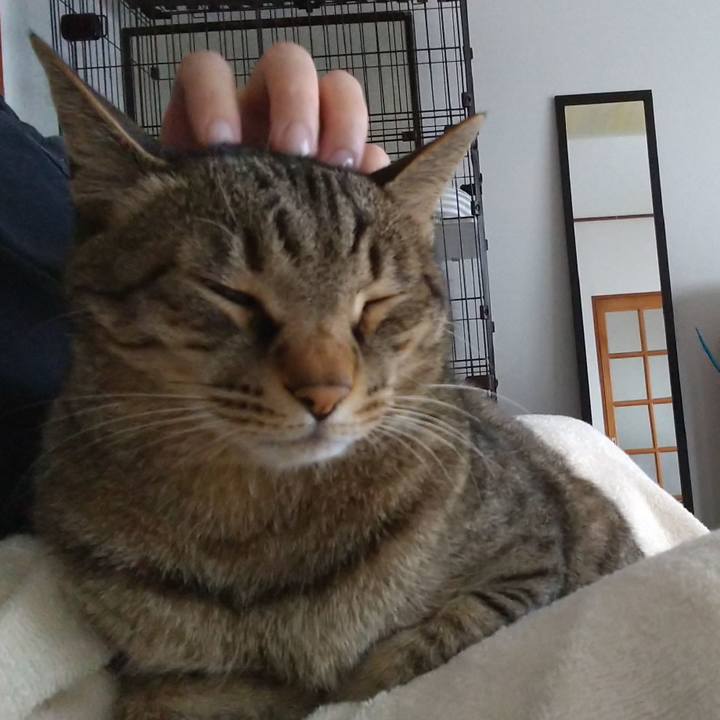 5706f4c9 acbd 42ea 8cac 571a374c744c 1625276680231