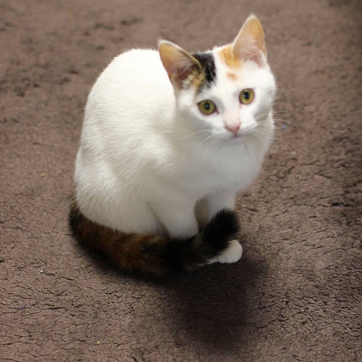 5707060a 174f 4e90 9431 40fa109cd2d7 1549150961970