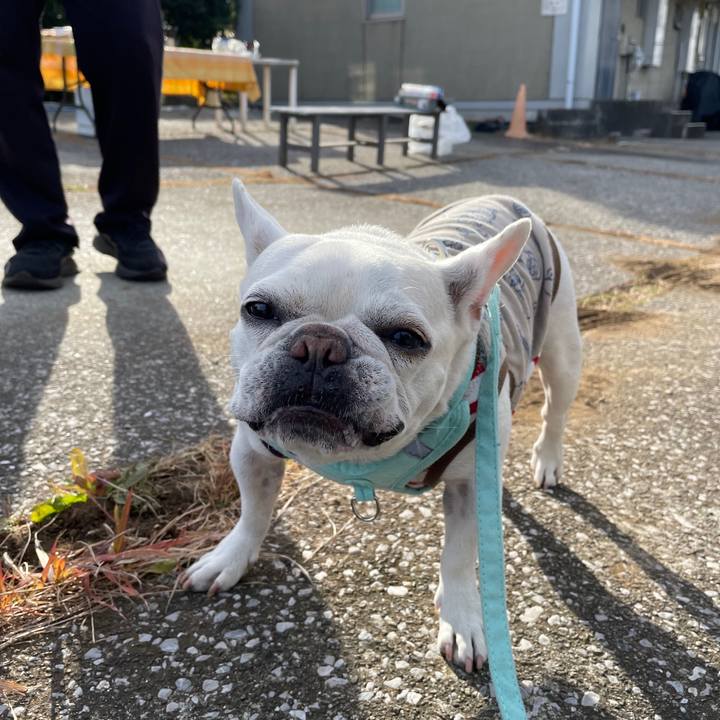 57071efe 2355 488f 9ae9 bfcf94c029d7 1735346413232