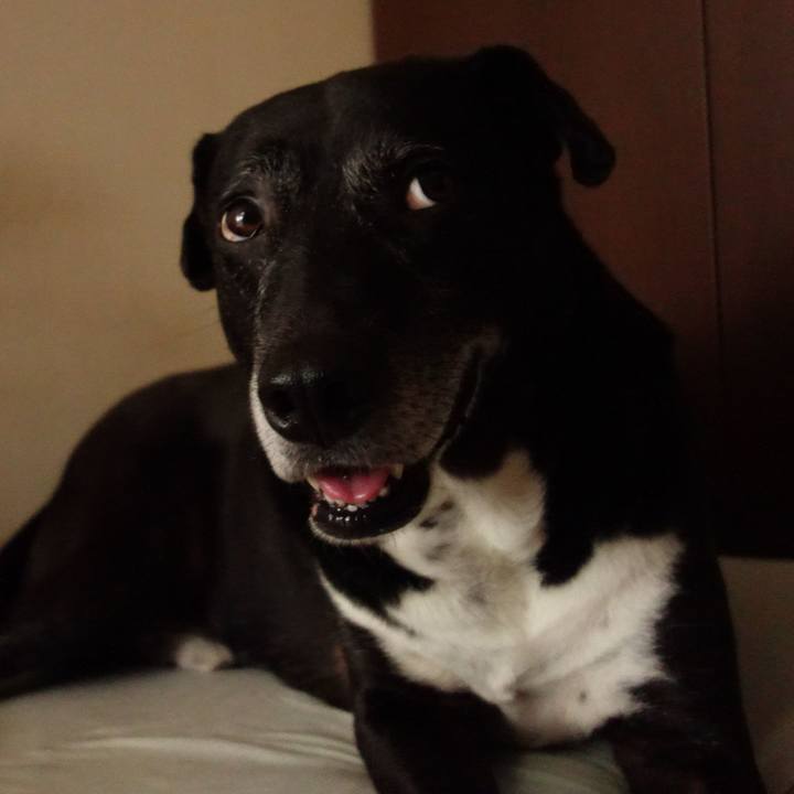 57072799 3ecc 4c22 8648 30cc4021b5ab 1750551844958