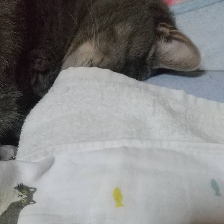 57073998 76a9 4ea0 b9d4 ddfbff3b85e5 1618146699313