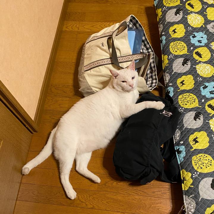 570748f4 af65 4c68 a6d2 227505c6dc25 1600430005194