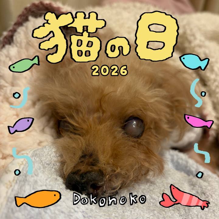 57077098 7b59 4eca 848b c2d473593447 1771723182926