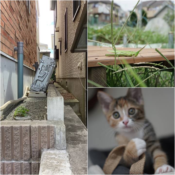 57078f91 c685 4da0 af5d 19bb490920f2 1568531398802