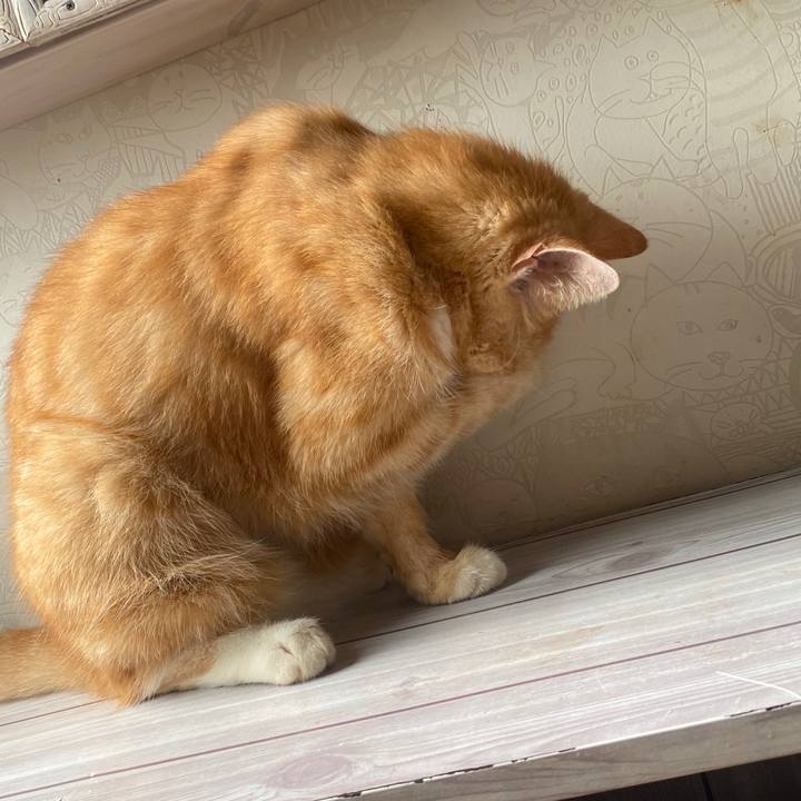 57079052 a06f 4882 8428 1685a7c6389a 1598328721804