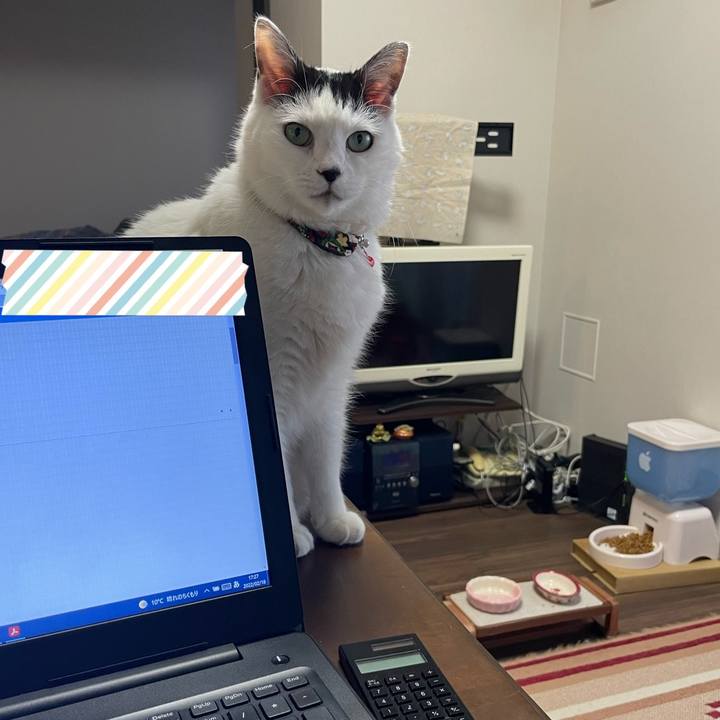 5707b2dc e963 4a74 a526 7f9df660fb7e 1645175224178