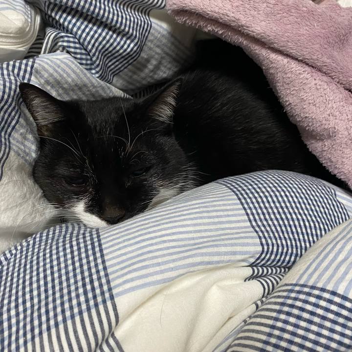 5707e854 d6ff 4879 a0a1 51fd73a51800 1734942688789